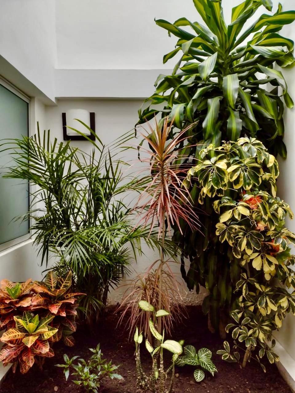 Hotel Jardin 38 Pasto Dış mekan fotoğraf