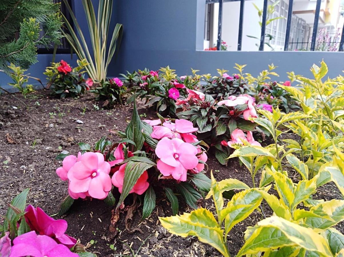 Hotel Jardin 38 Pasto Oda fotoğraf